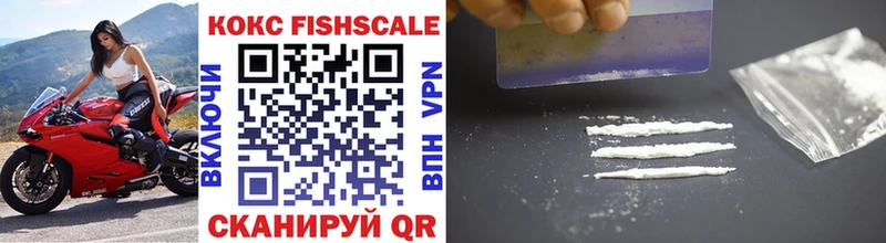 Cocaine Fish Scale  где купить наркоту  Зеленокумск 