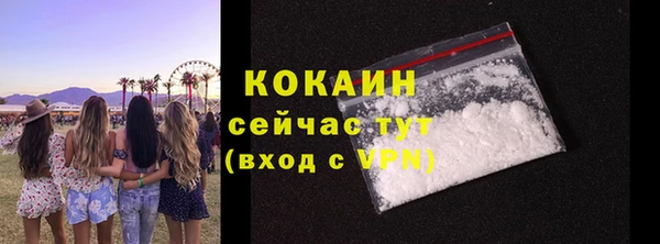 винт Богданович