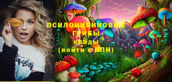 2c-b Верхний Тагил