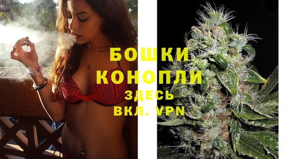 2c-b Верея