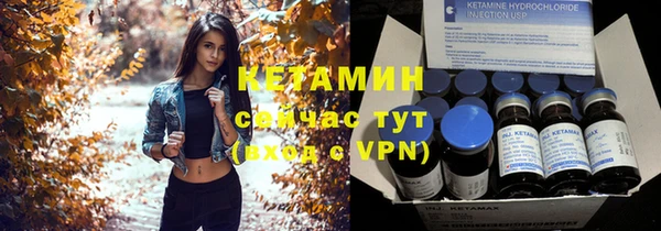 прущие грибы Богородицк