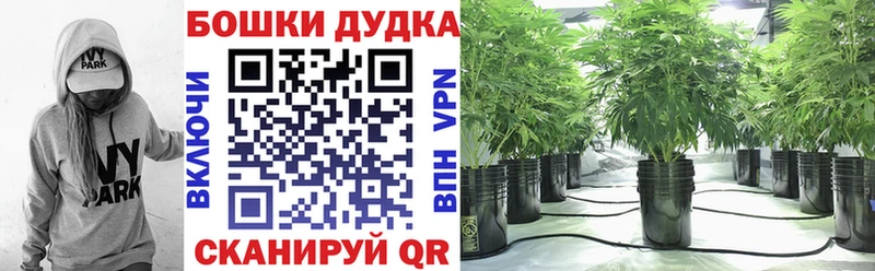где найти   Зеленокумск  Марихуана конопля 